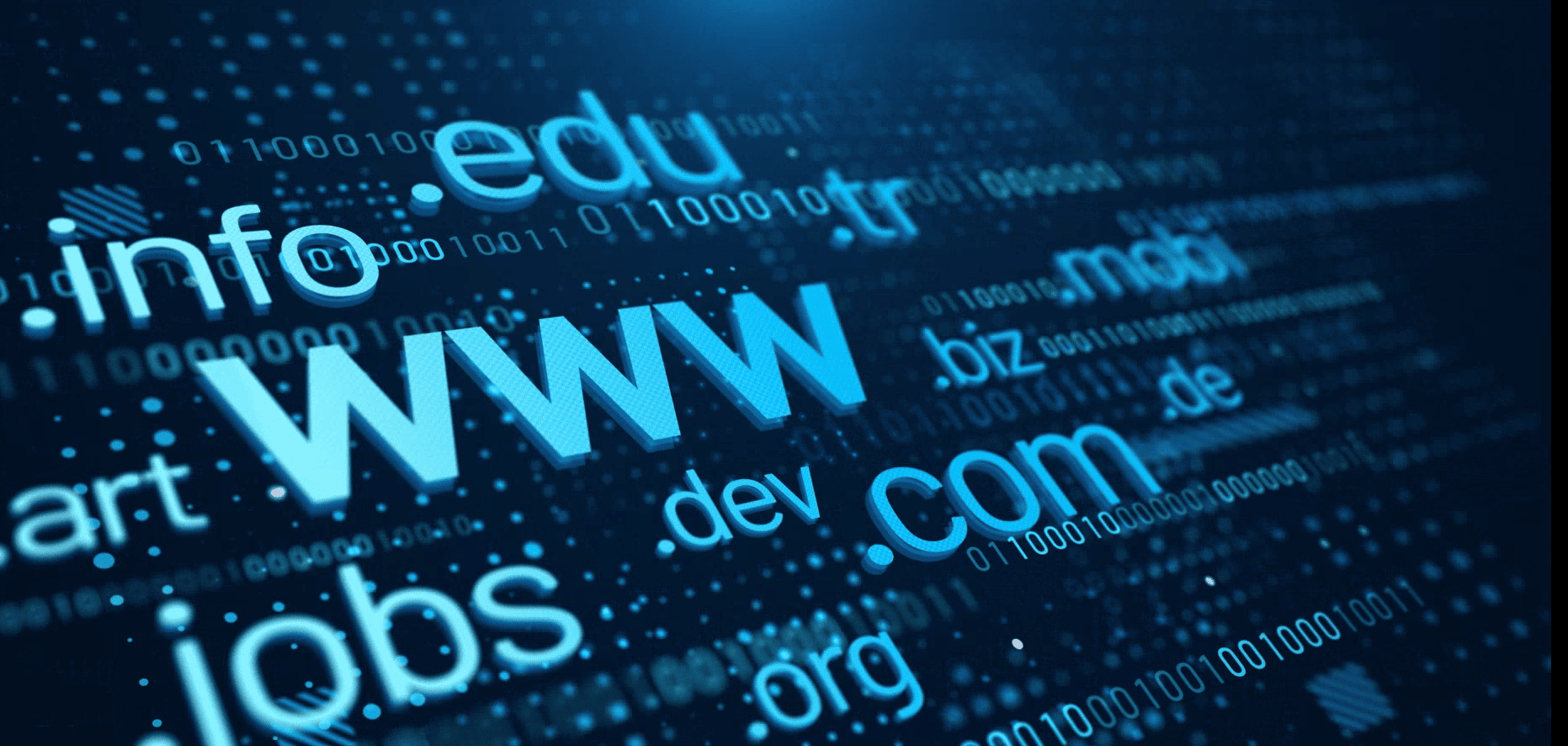 Domains TLD informationen und details