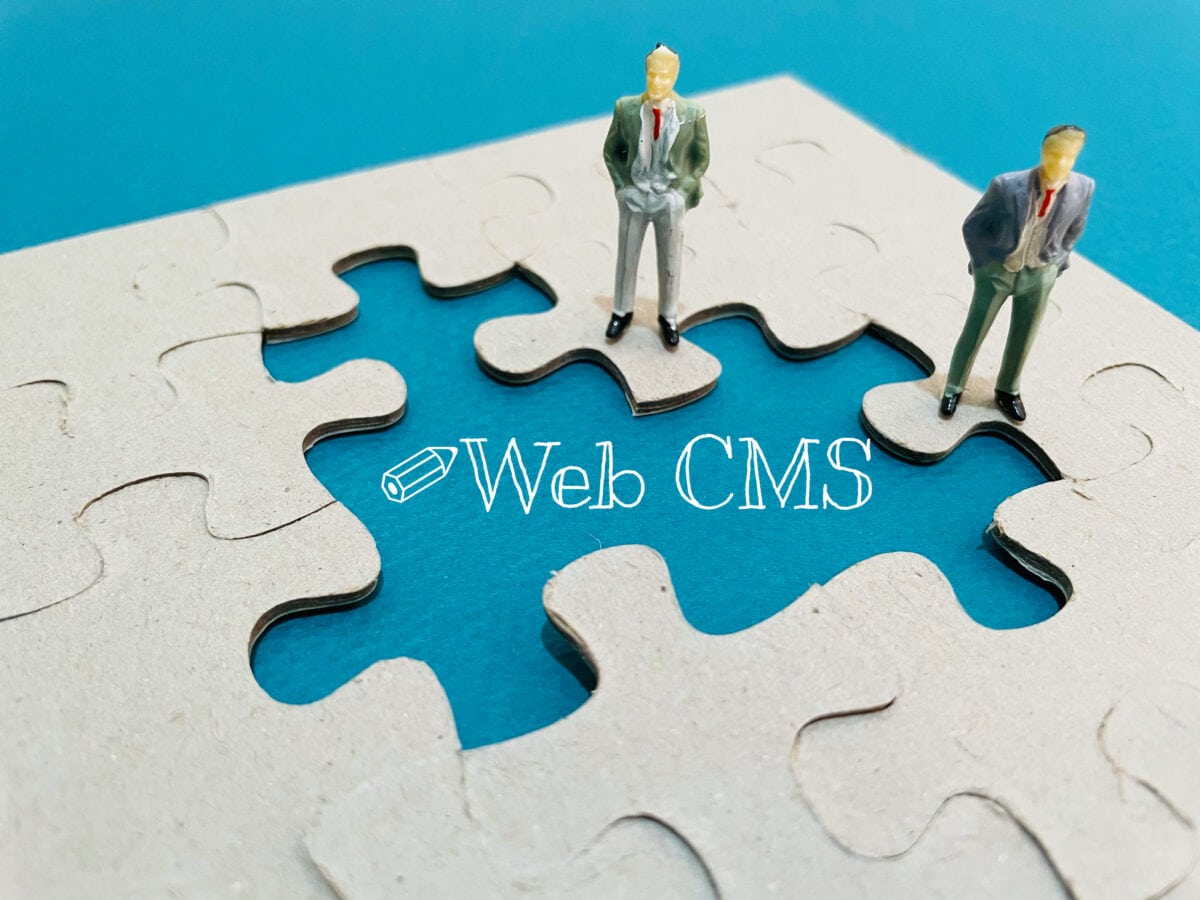 Alles über CMS (ContentManagementSysteme) Suleitec Webhosting