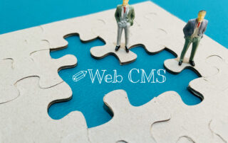 Artikel Bild: Was ist ein Content Management System