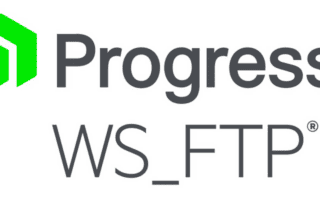 WS_FTP Logo