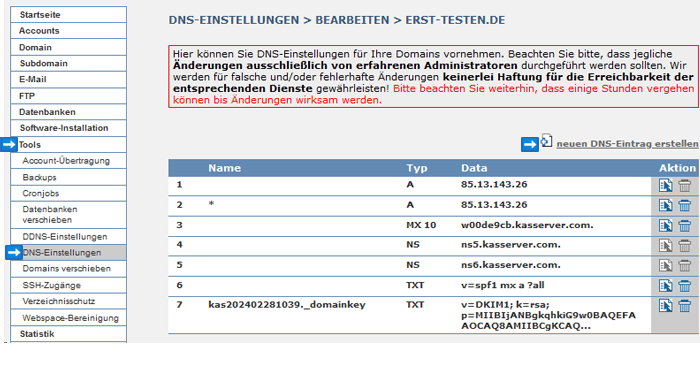 DNS Tool